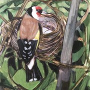 European Goldfinch