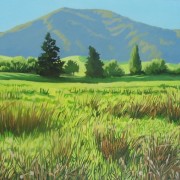Kapiti Island 2