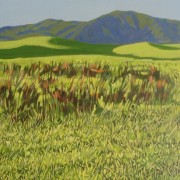 Kapiti 1
