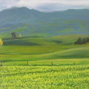 Mt Pirongia