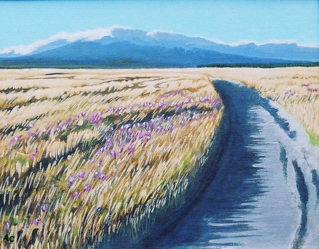 Ruapehu 6